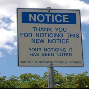 Meet your Posher, Art